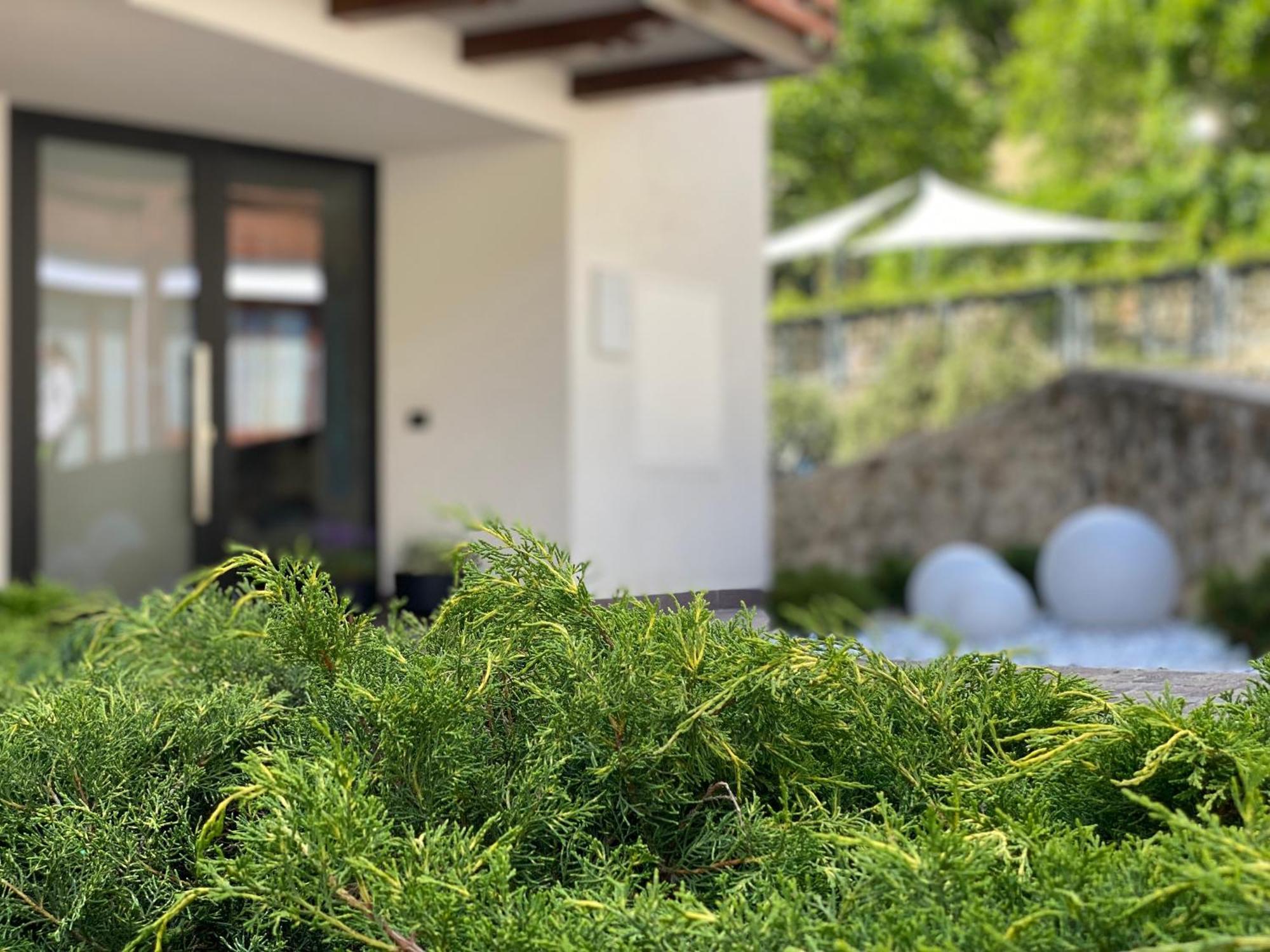 Si Mezzana Home Mezzana (Trentino Alto Adige) Exterior foto